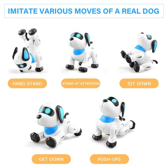 ربات کنترلی سگ مدل K21