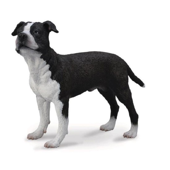فیگور سگ American Staffordshire Terrier کالکتا