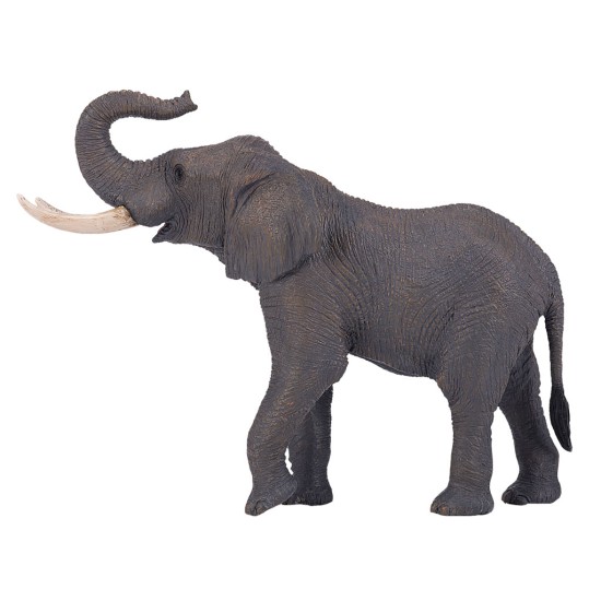فیگور فیل آفریقایی موجو